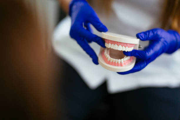 Lake Holiday, VA Dental Services Company